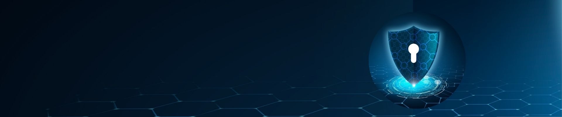 Cybersecurity Hero